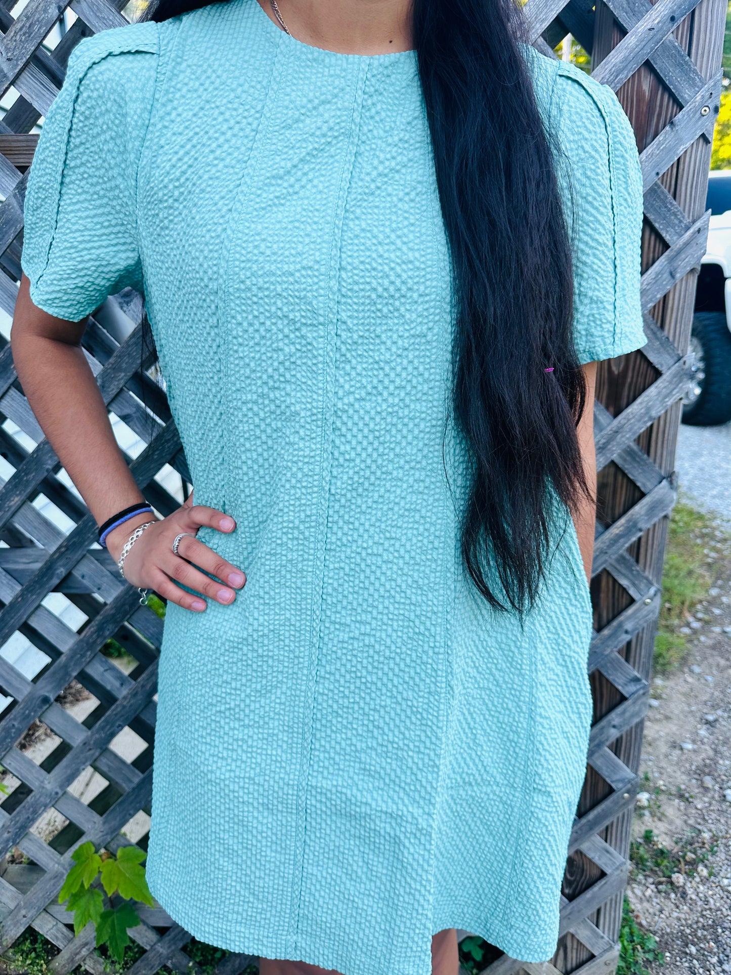 A person modeling a light mint green, short-sleeved dress. The dress is made of a highly textured, puckered fabric and features a high round neckline, slight gathering at the shoulders, and two vertical seams running down the front. The person has long dark hair and is standing outdoors in front of a wooden lattice fence.